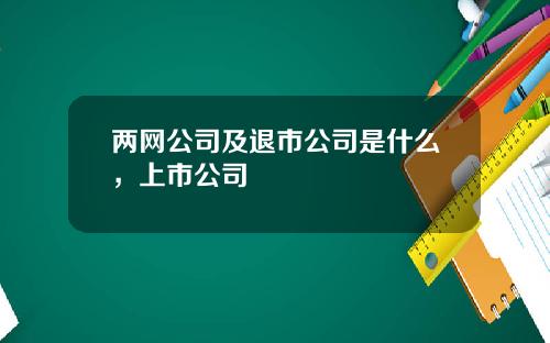 两网公司及退市公司是什么，上市公司