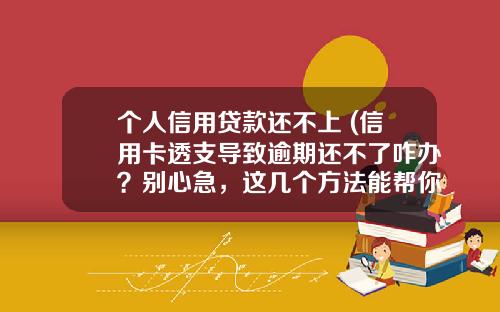 个人信用贷款还不上 (信用卡透支导致逾期还不了咋办？别心急，这几个方法能帮你挽救)