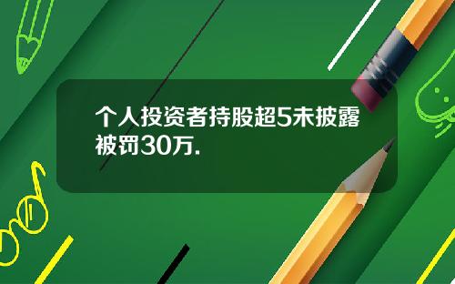 个人投资者持股超5未披露被罚30万.