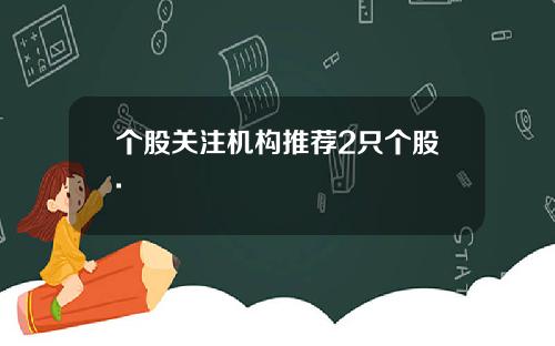个股关注机构推荐2只个股.