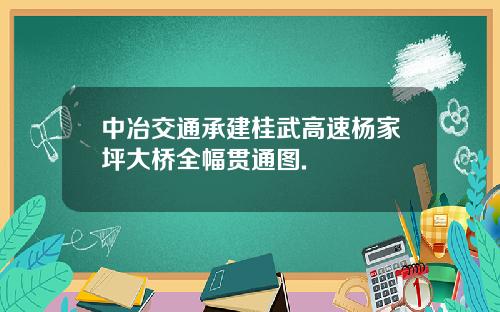 中冶交通承建桂武高速杨家坪大桥全幅贯通图.