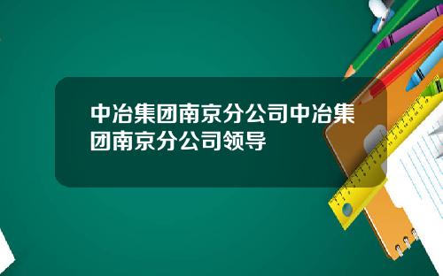 中冶集团南京分公司中冶集团南京分公司领导