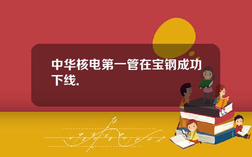 中华核电第一管在宝钢成功下线.