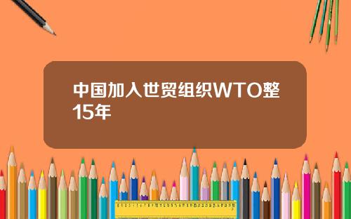 中国加入世贸组织WTO整15年