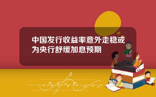 中国发行收益率意外走稳或为央行舒缓加息预期