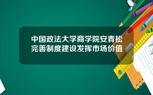 中国政法大学商学院安青松完善制度建设发挥市场价值