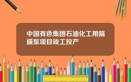 中国有色集团石油化工用隔膜泵项目竣工投产