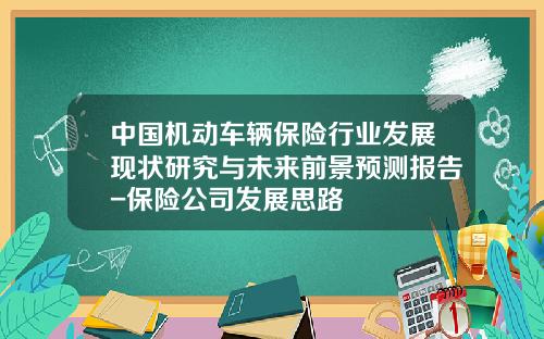中国机动车辆保险行业发展现状研究与未来前景预测报告-保险公司发展思路