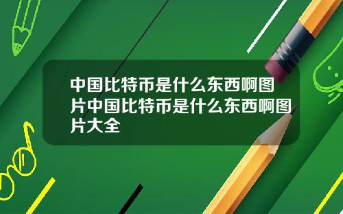 中国比特币是什么东西啊图片中国比特币是什么东西啊图片大全
