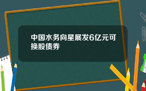 中国水务向星展发6亿元可换股债券