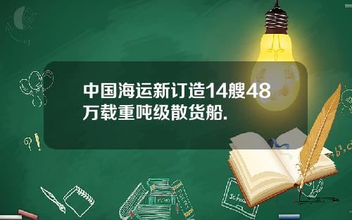 中国海运新订造14艘48万载重吨级散货船.