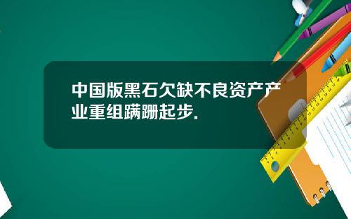 中国版黑石欠缺不良资产产业重组蹒跚起步.