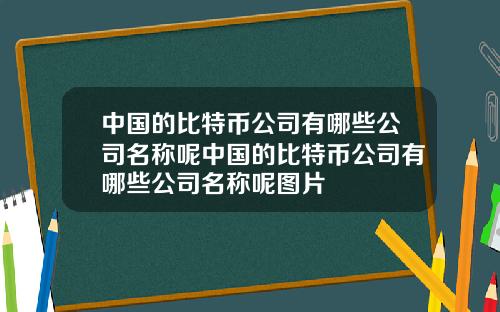 中国的比特币公司有哪些公司名称呢中国的比特币公司有哪些公司名称呢图片
