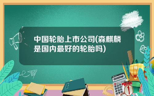 中国轮胎上市公司(森麒麟是国内最好的轮胎吗)