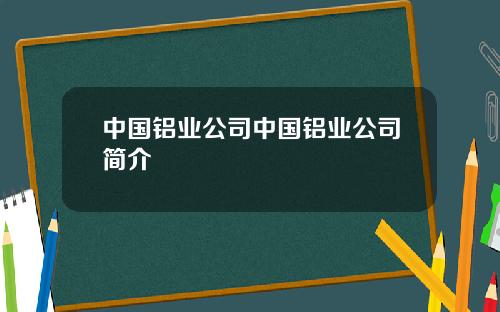 中国铝业公司中国铝业公司简介