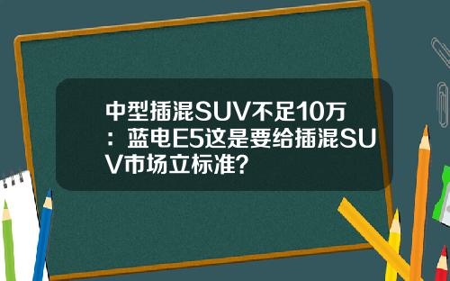 中型插混SUV不足10万：蓝电E5这是要给插混SUV市场立标准？
