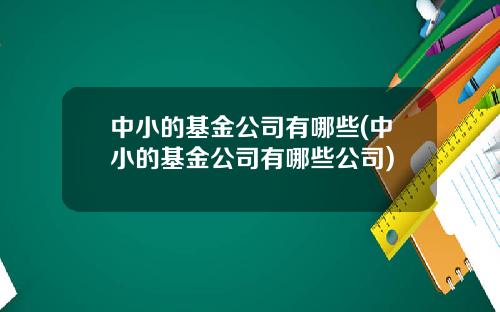 中小的基金公司有哪些(中小的基金公司有哪些公司)