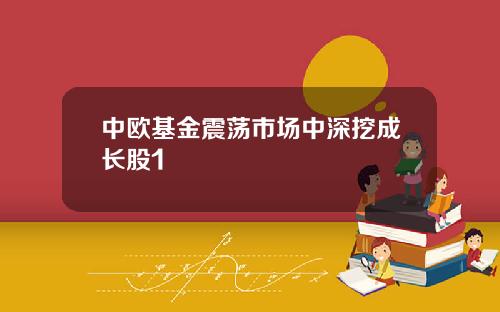 中欧基金震荡市场中深挖成长股1
