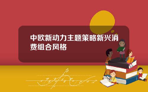 中欧新动力主题策略新兴消费组合风格
