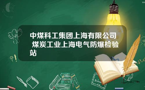 中煤科工集团上海有限公司 煤炭工业上海电气防爆检验站