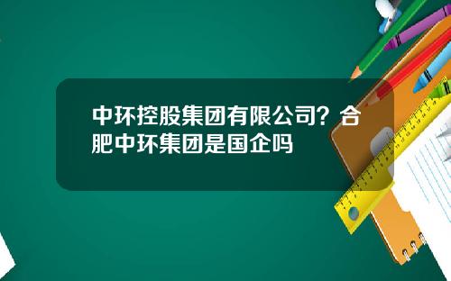 中环控股集团有限公司？合肥中环集团是国企吗