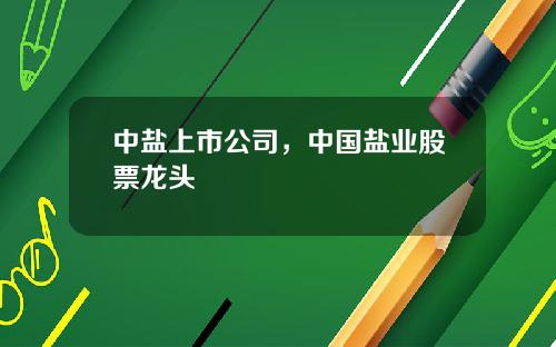 中盐上市公司，中国盐业股票龙头