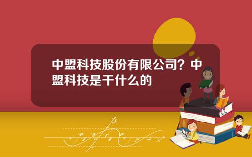 中盟科技股份有限公司？中盟科技是干什么的