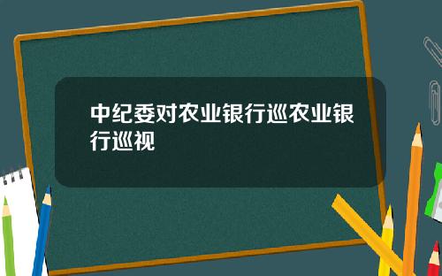中纪委对农业银行巡农业银行巡视