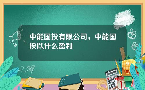 中能国投有限公司，中能国投以什么盈利