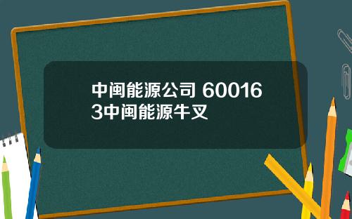 中闽能源公司 600163中闽能源牛叉