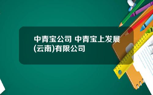 中青宝公司 中青宝上发展(云南)有限公司