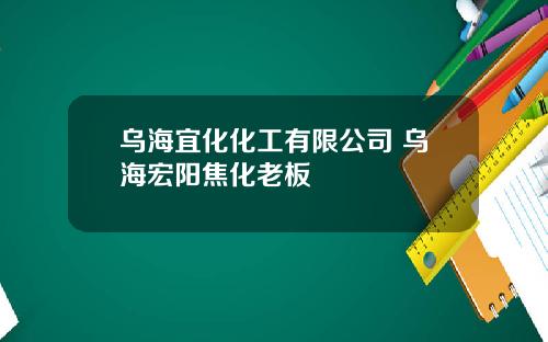 乌海宜化化工有限公司 乌海宏阳焦化老板