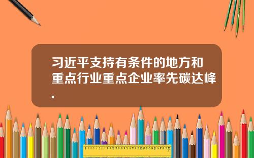 习近平支持有条件的地方和重点行业重点企业率先碳达峰.