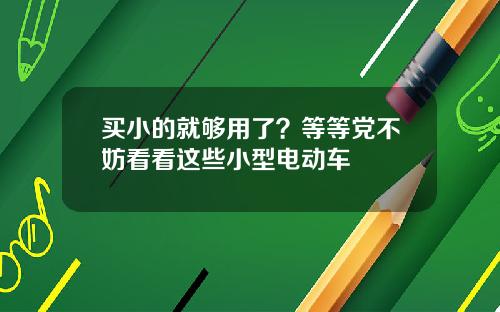 买小的就够用了？等等党不妨看看这些小型电动车