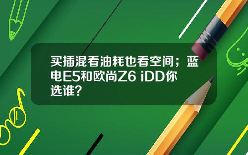 买插混看油耗也看空间；蓝电E5和欧尚Z6 iDD你选谁？