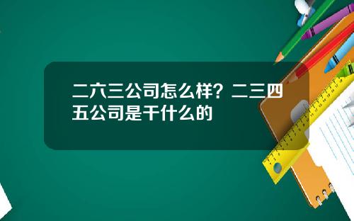 二六三公司怎么样？二三四五公司是干什么的