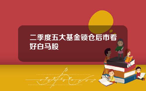 二季度五大基金锁仓后市看好白马股