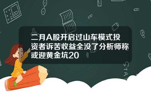 二月A股开启过山车模式投资者诉苦收益全没了分析师称或迎黄金坑20