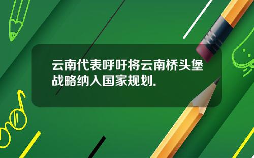 云南代表呼吁将云南桥头堡战略纳入国家规划.