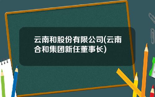 云南和股份有限公司(云南合和集团新任董事长)