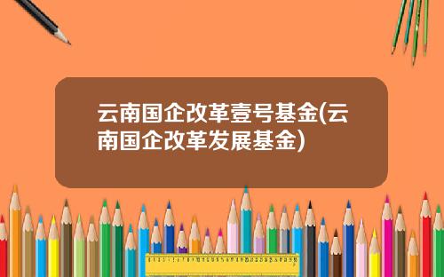 云南国企改革壹号基金(云南国企改革发展基金)