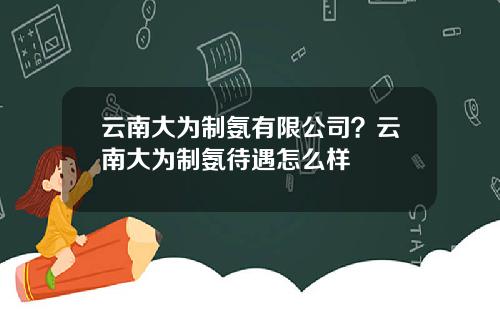 云南大为制氨有限公司？云南大为制氨待遇怎么样