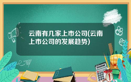 云南有几家上市公司(云南上市公司的发展趋势)