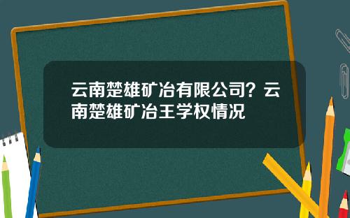 云南楚雄矿冶有限公司？云南楚雄矿冶王学权情况