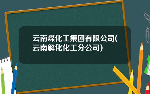 云南煤化工集团有限公司(云南解化化工分公司)