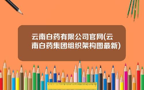 云南白药有限公司官网(云南白药集团组织架构图最新)