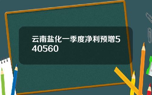 云南盐化一季度净利预增540560