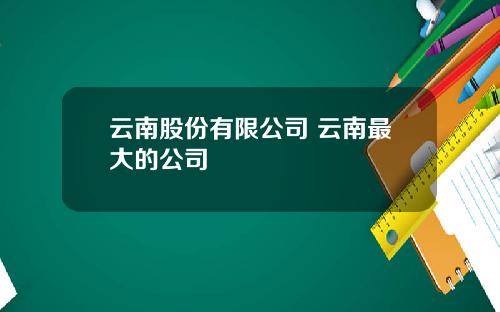 云南股份有限公司 云南最大的公司