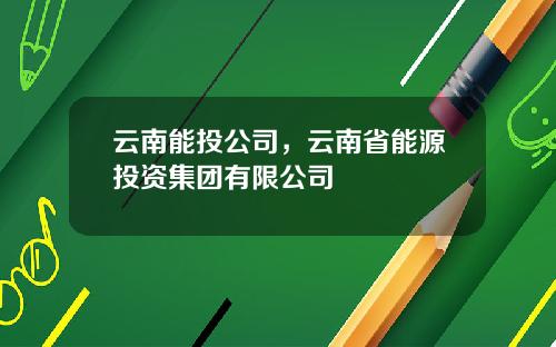 云南能投公司，云南省能源投资集团有限公司