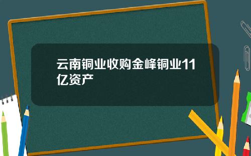 云南铜业收购金峰铜业11亿资产